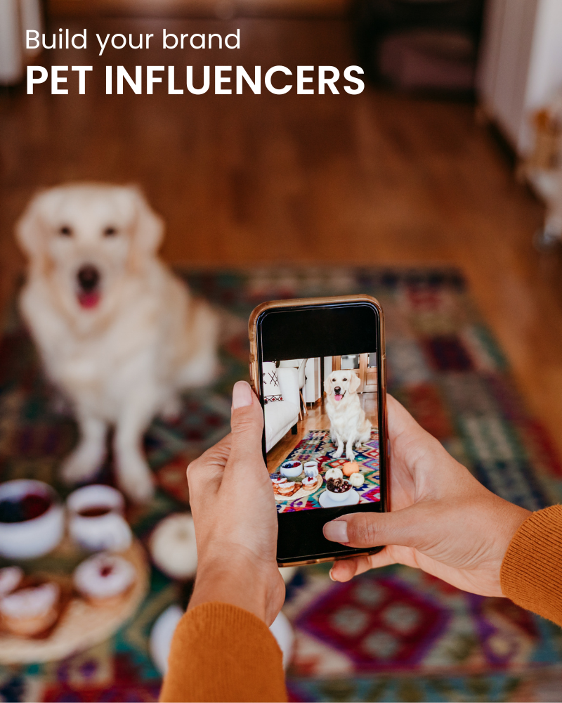 Pet-Influencer